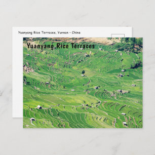 Carte Postale Les célèbres terrasses de riz yuanyang - Yunnan, C