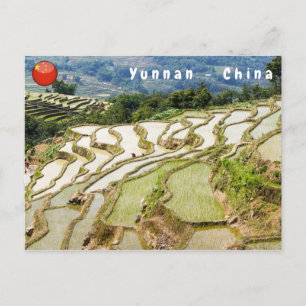 Carte Postale Les célèbres terrasses de riz yuanyang - Yunnan, C