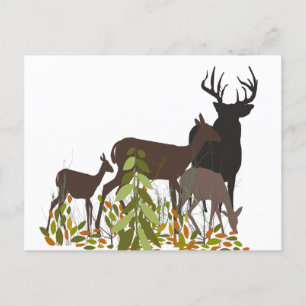 Carte Postale Les cerfs dans la nature. Animaux forestiers