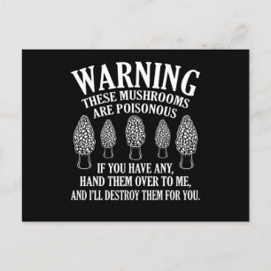 Carte Postale Les champignons sont des morilles vénéneuses à la 
