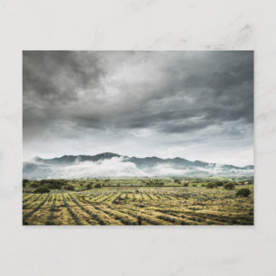 Carte Postale Les Champs Agricoles Ruraux Sous Ciel Nuageux