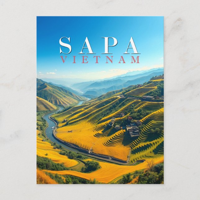 Carte Postale Les champs de riz à Sapa, Vietnam (Devant)