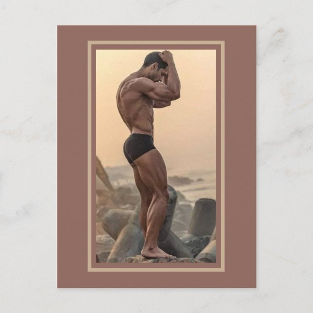 Carte Postale Les Chasses les plus chaudes sur la planète ! Le T (Devant)