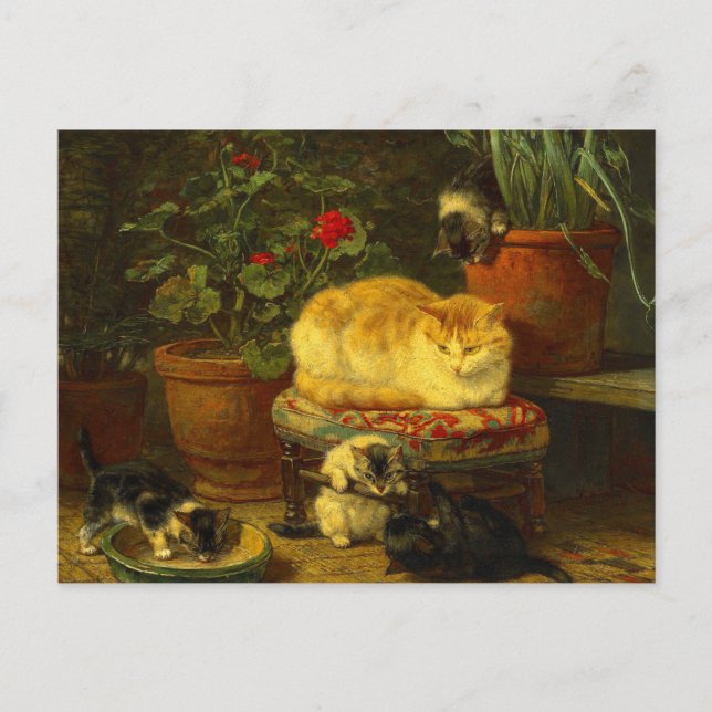 Carte Postale Les chatons en jeu (Devant)