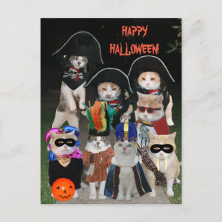 Carte Postale Les chats amusants se faufilent à Halloween