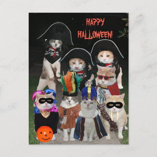 Carte Postale Les chats amusants se faufilent à Halloween (Devant)