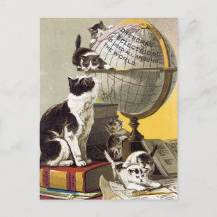 Carte Postale Les chats et le monde