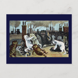 Carte Postale Les chats le font sortir sur le toit