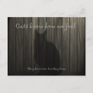 Carte Postale Les chats savent ce que nous ressentons
