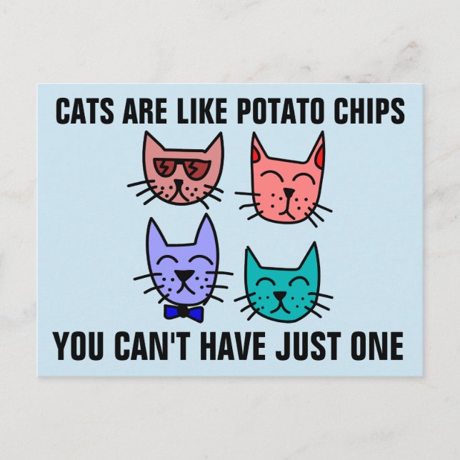CARTE POSTALE LES CHATS SONT COMME DES CHAUSSURES DE POMME DE TE (Devant)