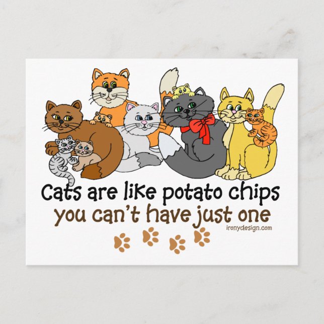 Carte Postale Les chats sont comme des chips (Devant)