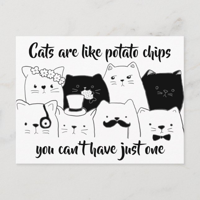 Carte Postale Les Chats Sont Comme Des Chips De Pomme De Terre// (Devant)