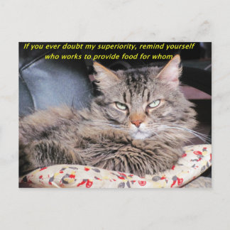Carte Postale Les chats sont des mèmes supérieurs