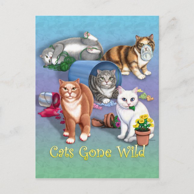 Carte Postale Les chats sont devenus sauvages (Devant)