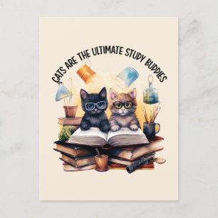 Carte Postale Les Chats Sont Les Derniers Étudiants