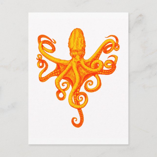 CARTE POSTALE LES CHAUSSURES OCTOPUS (Devant)