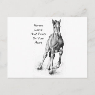 Carte Postale Les Chevaux Laissent Des Empreintes Hoofprint Sur