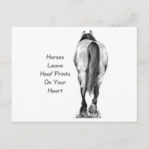 Carte Postale Les Chevaux Laissent Des Empreintes Hoofprint Sur 