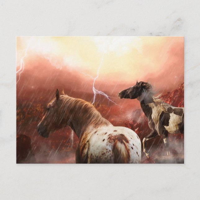 CARTE POSTALE LES CHEVAUX SAUVAGES DÉSERTENT LA TEMPÊTE (Devant)