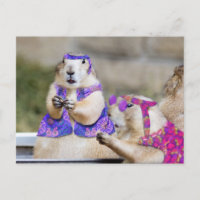 Les chiens des Prairies sont SUPER !