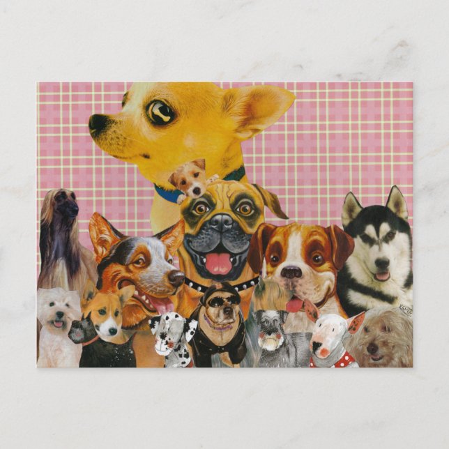 Carte Postale Les chiens sont amusants (Devant)