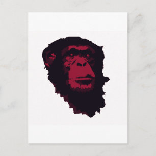 CARTE POSTALE LES CHIMPANZÉS SONT EXTRAORDINAIRES
