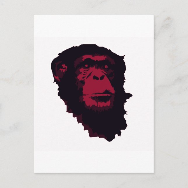 CARTE POSTALE LES CHIMPANZÉS SONT EXTRAORDINAIRES (Devant)