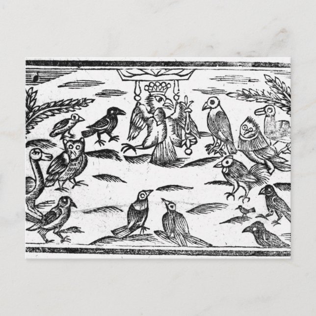 Carte Postale Les Choristes en bois ou L'Harmonie des Oiseaux (Devant)