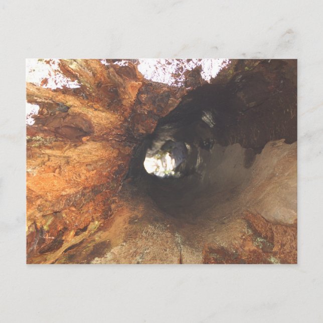 Carte Postale Les Choses Sont Serrées (Devant)