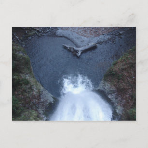 Carte Postale Les chutes de Multnomah