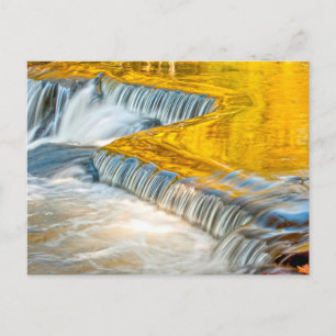 Carte Postale Les chutes d'obligations reflètent les couleurs d'