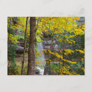 Carte Postale Les chutes Munising à Fall, Munising, Michigan