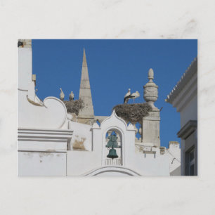 Carte Postale les cigognes construisent des nids sur l'église de
