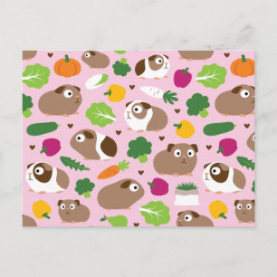 Carte Postale Les Cochons De Guinée Et Leurs Traitements