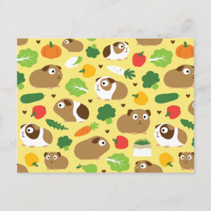 Carte Postale Les Cochons De Guinée Et Leurs Traitements