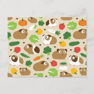 Carte Postale Les Cochons De Guinée Et Leurs Traitements