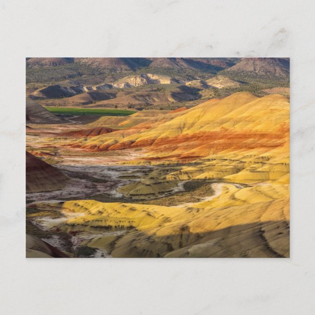 Carte Postale Les collines peintes dans les lits de fossiles de  (Devant)