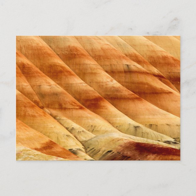 Carte Postale Les collines peintes dans les lits de fossiles de  (Devant)