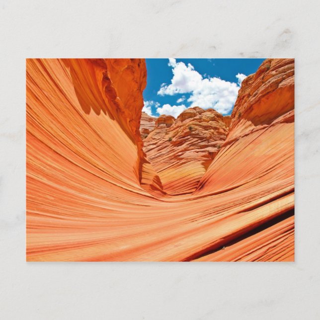 Carte Postale Les couleurs de la vague (Devant)