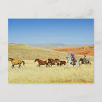 Les cow-boys élevant des chevaux