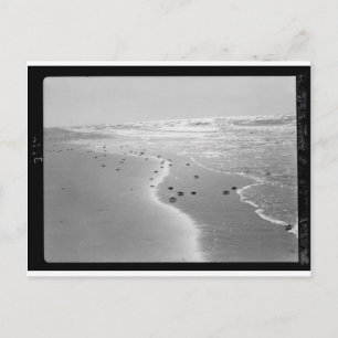 Carte Postale Les crabes sur la plage. À Wadi Ghuzze 1920-1933.t