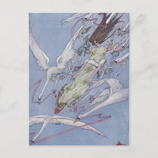 Carte Postale Les cygnes sauvages