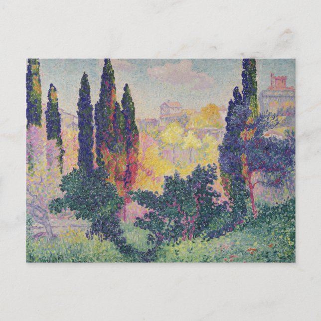 Carte Postale Les Cyprès à Cagnes, 1908 (Devant)