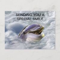 Les dauphins sourient le mieux