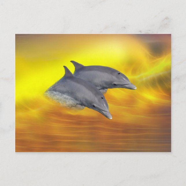Carte Postale Les dauphins surfant sur les vagues (Devant)