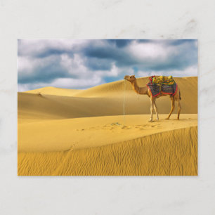 Carte Postale Les déserts   Thar Desert Rajasthan Inde Camel