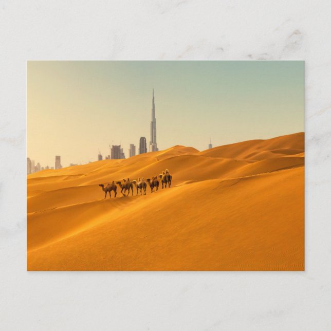 Carte Postale Les déserts | Vue Skyline de Dubaï avec chameaux (Devant)
