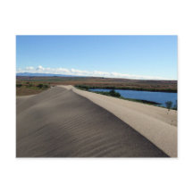 Les dunes de Bruneau