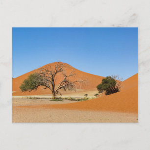 Carte Postale Les dunes de la Sossusvlei en Namibie