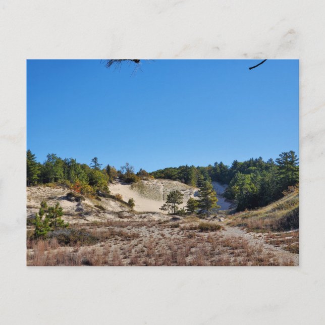 Carte Postale Les dunes du lac Michigan (Devant)